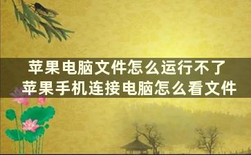 苹果电脑文件怎么运行不了 苹果手机连接电脑怎么看文件